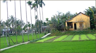 สรุป1ปีปฏิบัติโครงการพัฒนาชนบทใหม่